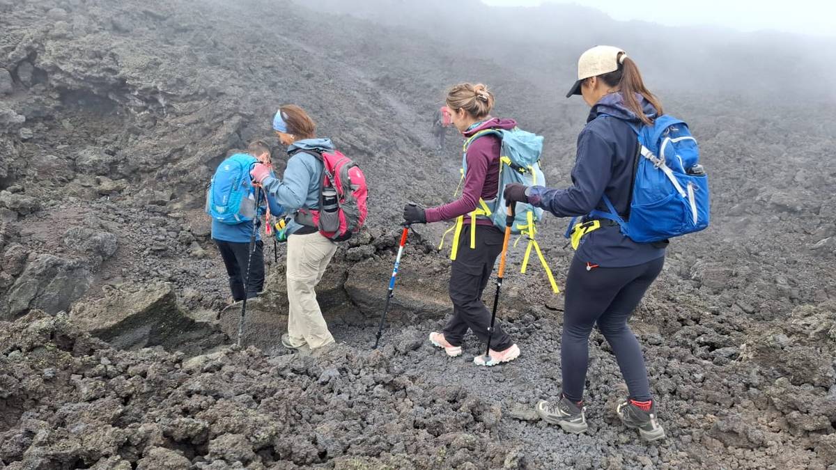 piuque picun agencia de turismo  gallery 11