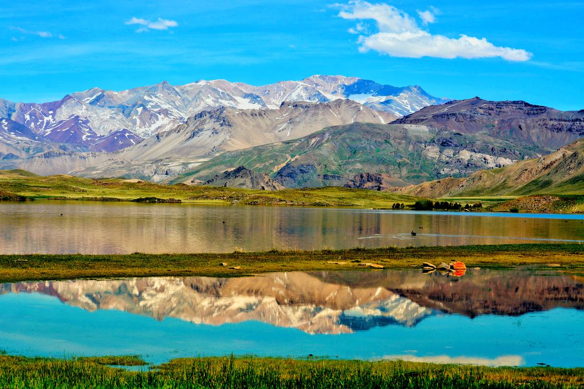 piuque picun agencia de turismo  gallery 2