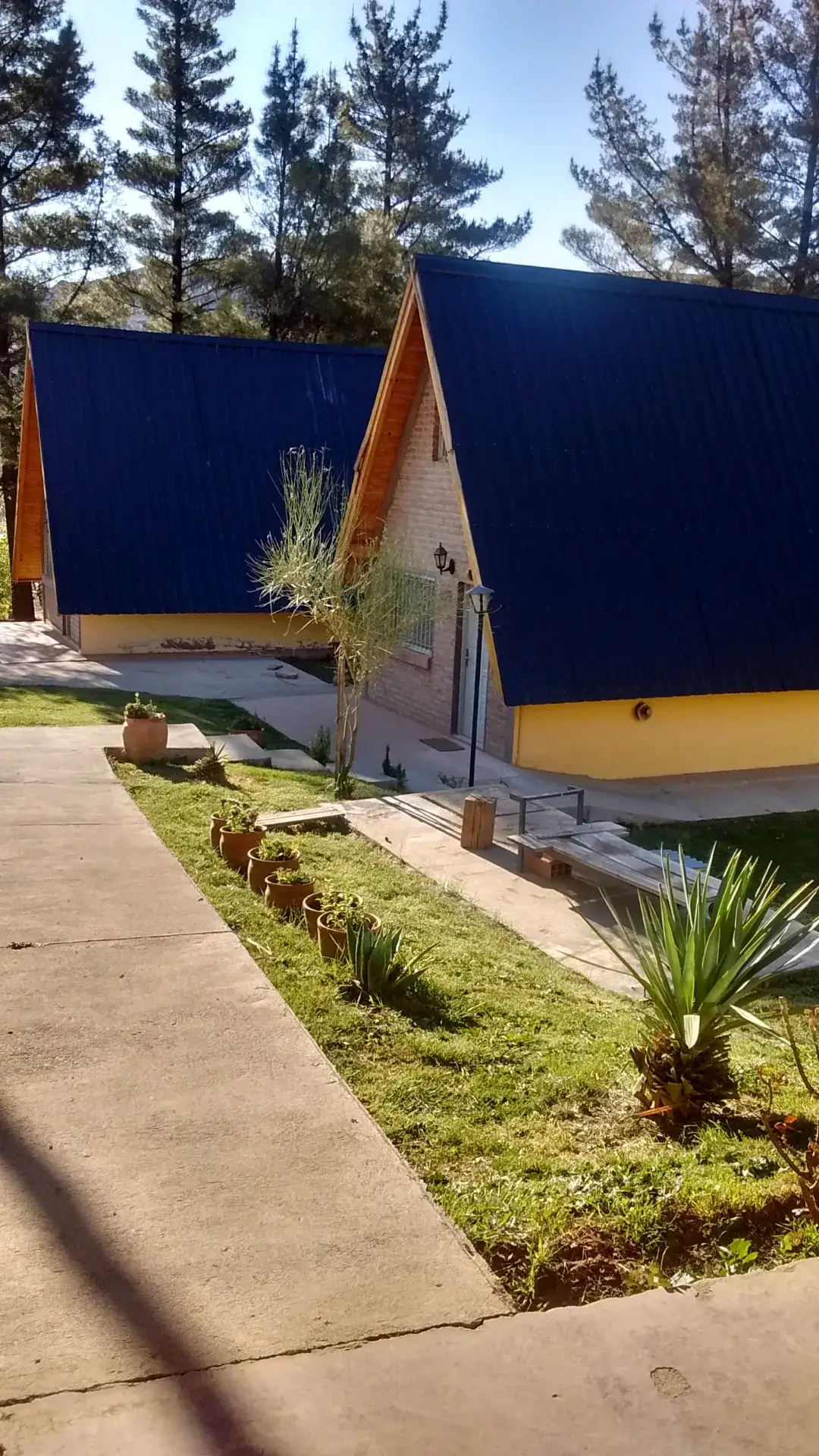 Cabañas las Rosas de Huingan co gallery 11