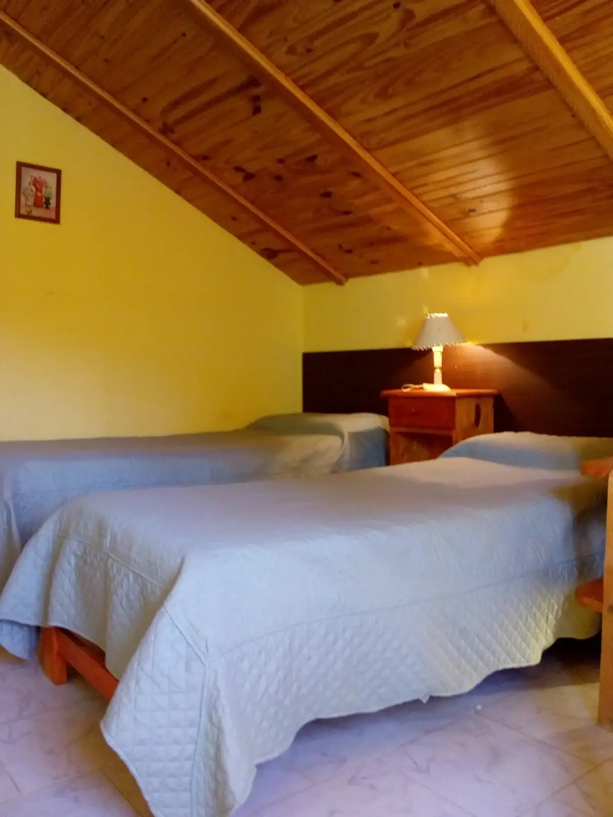 Cabañas las Rosas de Huingan co gallery 5