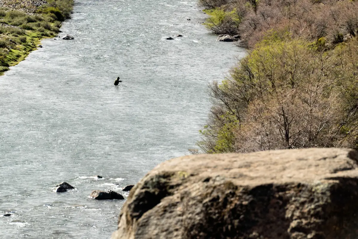 VICTOR MUÑOZ GUIA DE PESCA  gallery 4