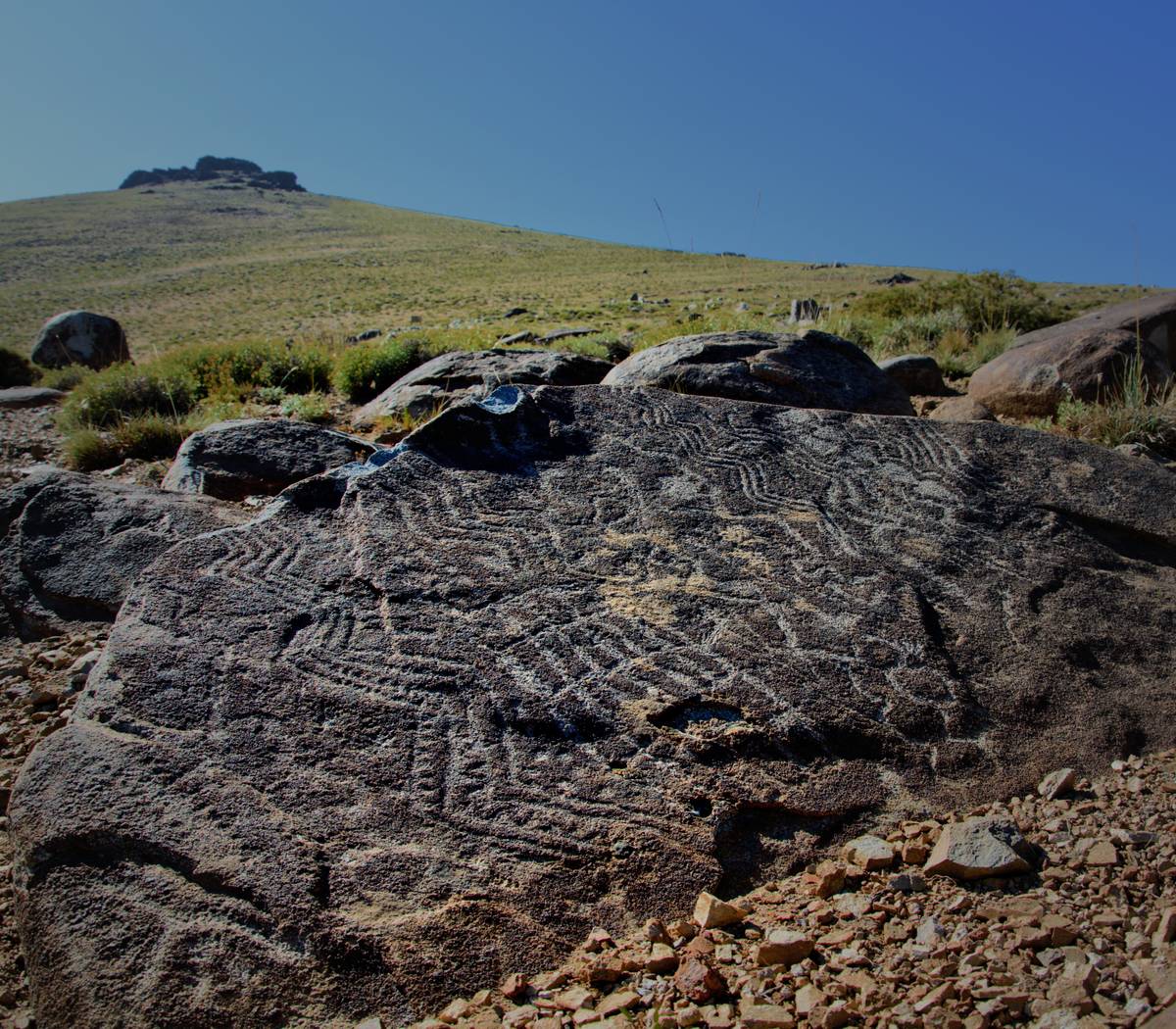 piuque picun agencia de turismo  gallery 3