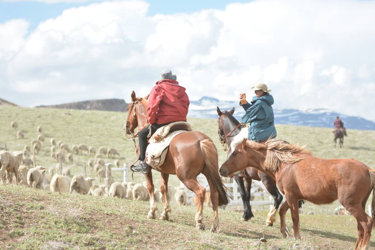 piuque picun agencia de turismo  gallery 1