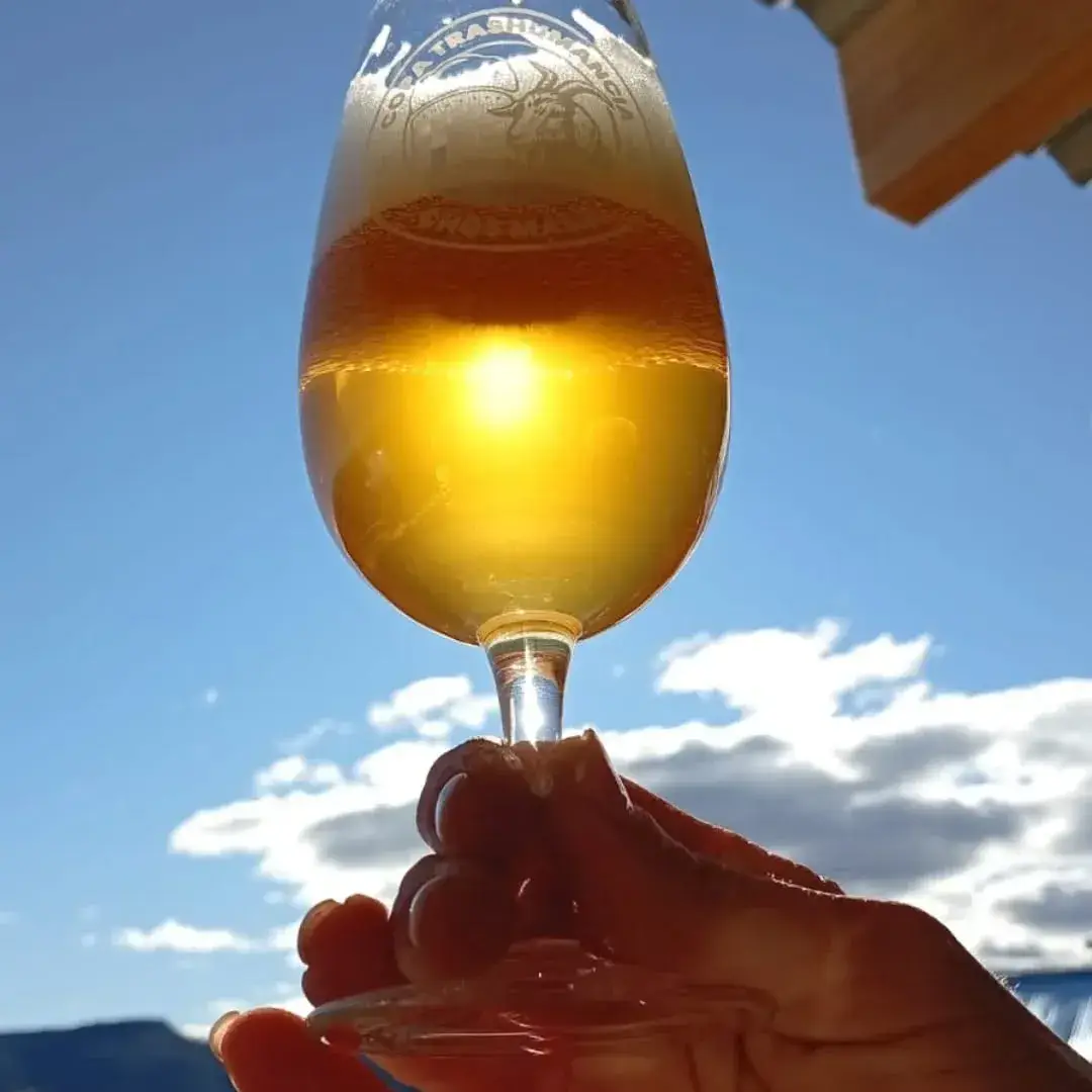 kawiñ cerveza artesanal  gallery 0