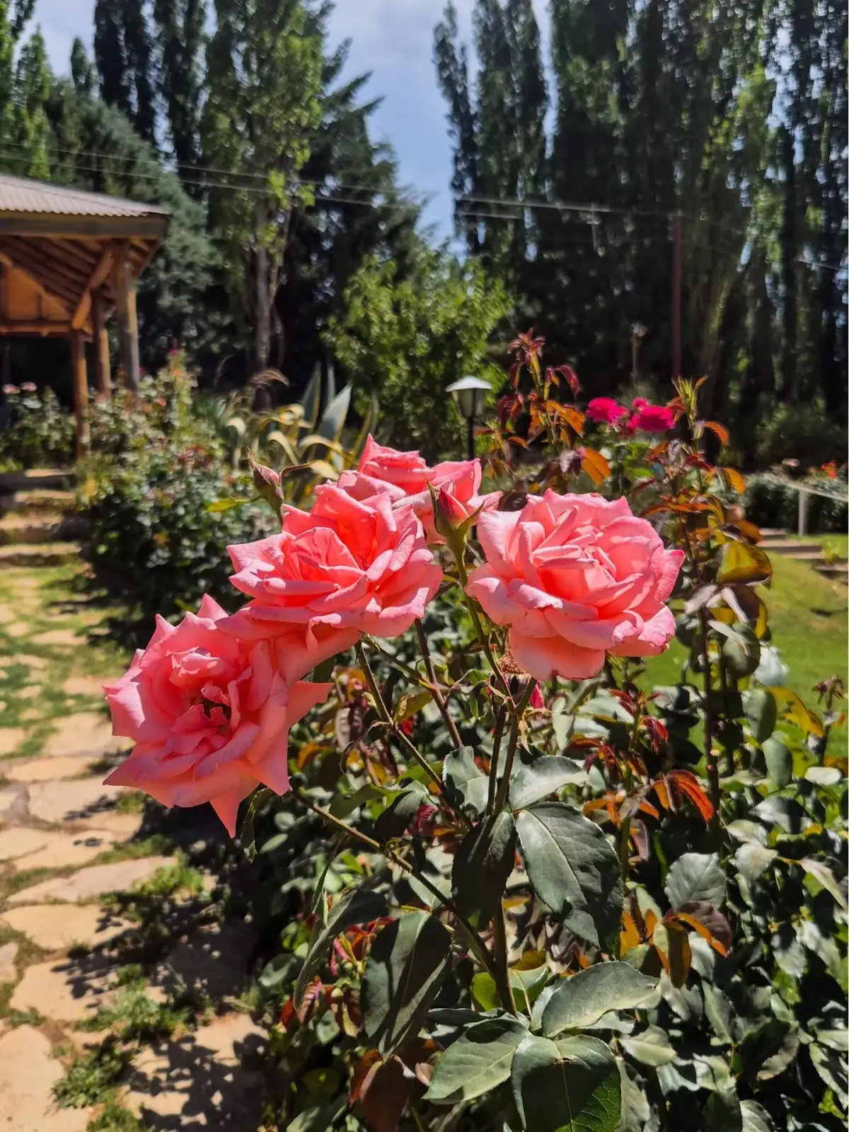 Cabañas las Rosas de Huingan co